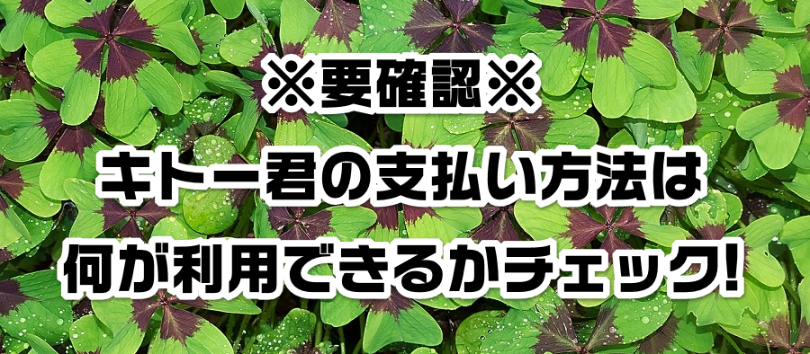 ※要確認※キトー君の支払い方法は何が利用できるかチェック!