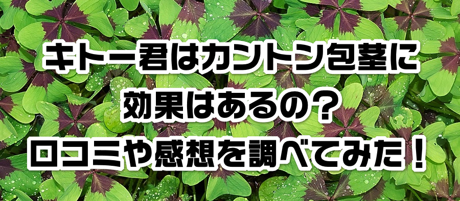 キトー君はカントン包茎に効果はあるの?口コミや感想を調べてみた!